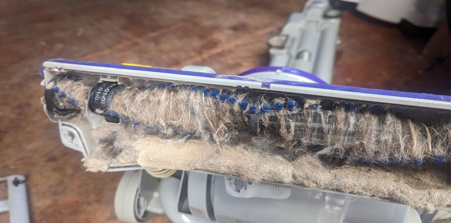 What Happens If You Don’t Vacuum Carpet for Over 6 Months?!