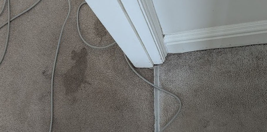 Deep Carpet Cleaning Tips to Avoid