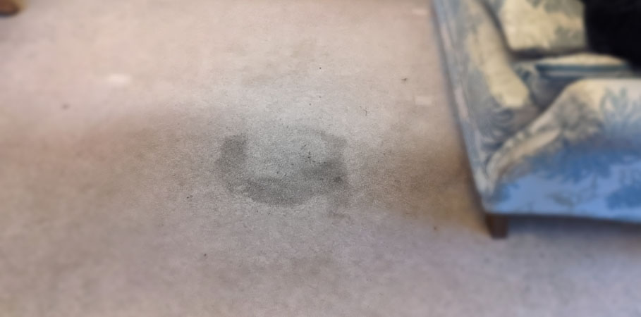 Stainxiety – same day carpet cleaning in Wallasey