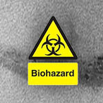 Biohazard Carpet Cleaning