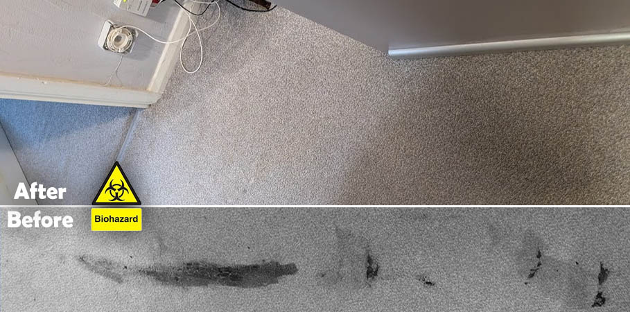 Biohazard Carpet Cleaning in Wallasey and Across the Wirral