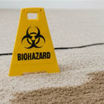 DIY Biohazard Carpet Cleaning 