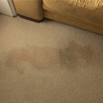 Does Baking Soda and Vinegar Carpet Cleaning Really Work?