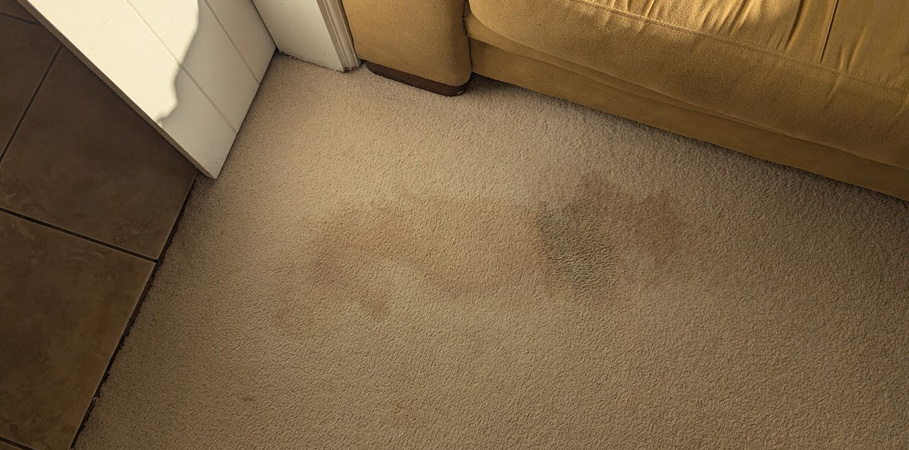 Does Baking Soda and Vinegar Carpet Cleaning Really Work?