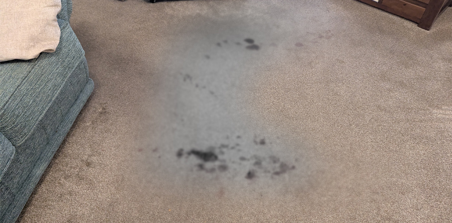 Blood Stain Carpet Cleaning on the Wirral – Another Challenging Job Completed