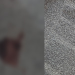 Emergency Blood carpet Cleanup Wirral