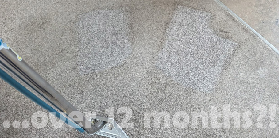 What Happens If You Don’t Professionally Clean Your Carpet for Over 12 Months?!